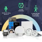 Smart Lighting